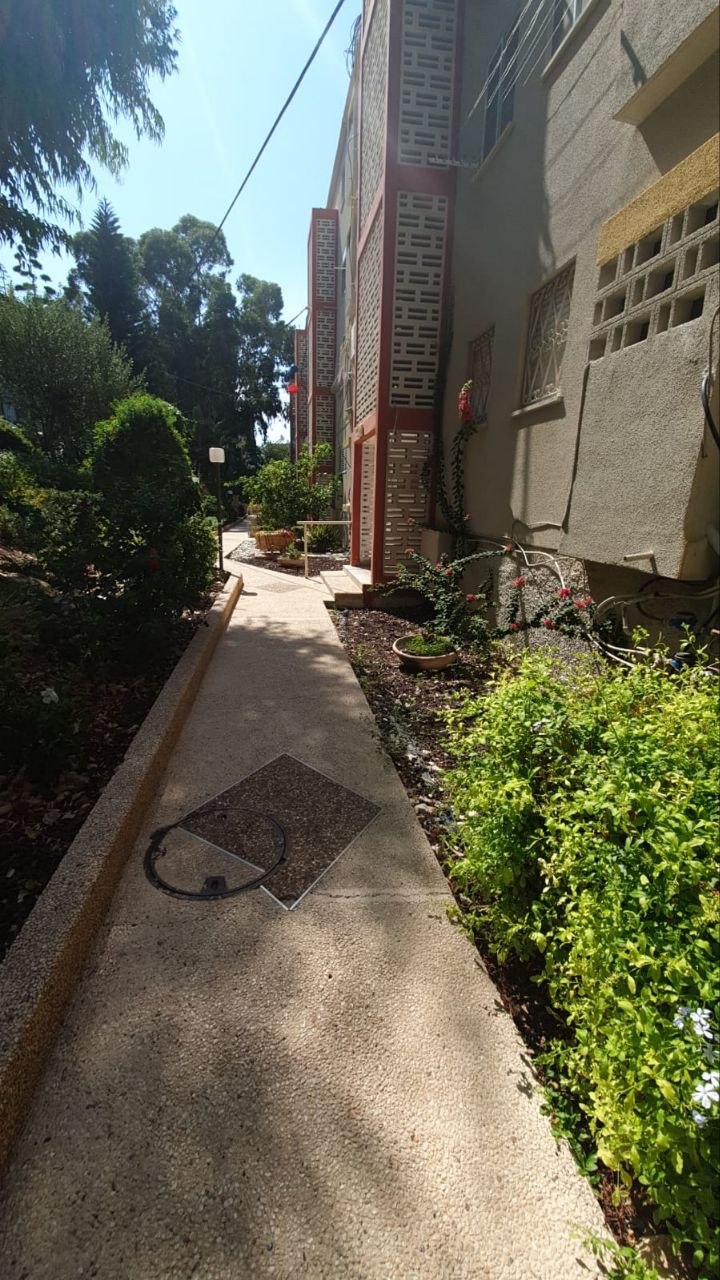 הדירה הראשונה הרצינית